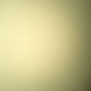 Meet your Posher, Cecilia